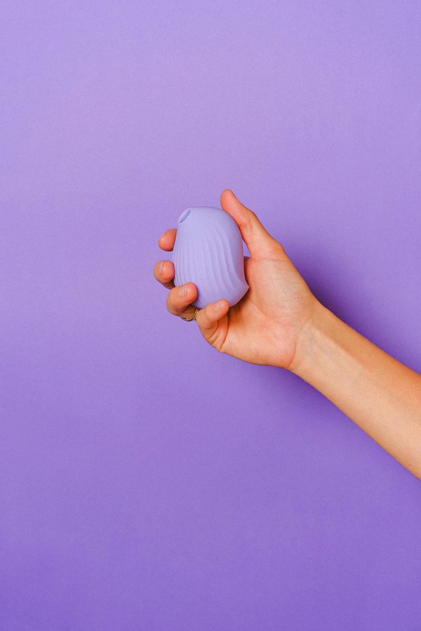 Adoptez une chatte de poche : le compagnon idéal !